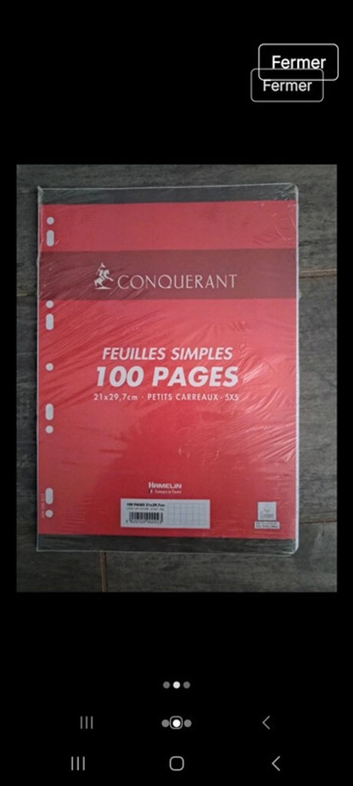 100 feuilles simples Conquérant - photo numéro 2