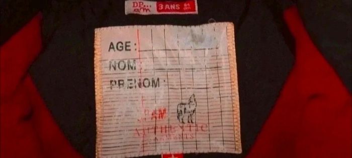 Veste à capuche garçon 3 ans - photo numéro 3