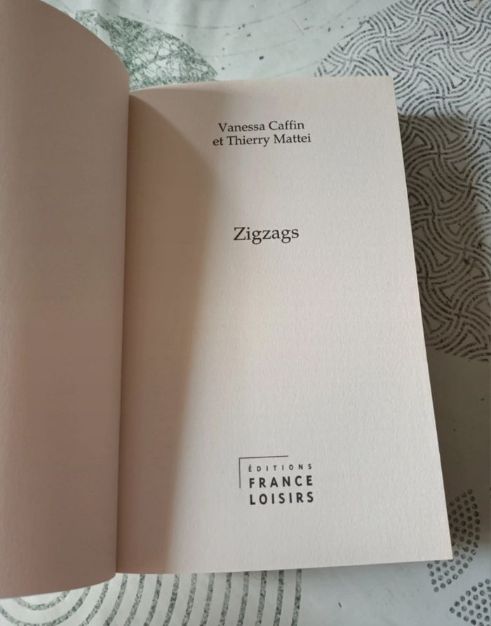 Livre " Zigzags " de Vanessa Caffin & Thierry Mattei 🌻🌾 - photo numéro 2