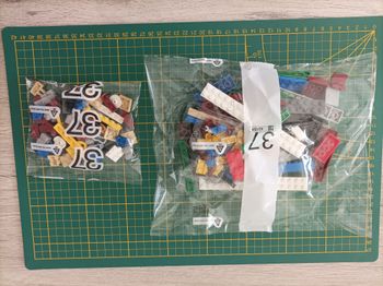 Sachet numéro 37 n°37 complet pour le set Lego Icons 10294 Le Titanic