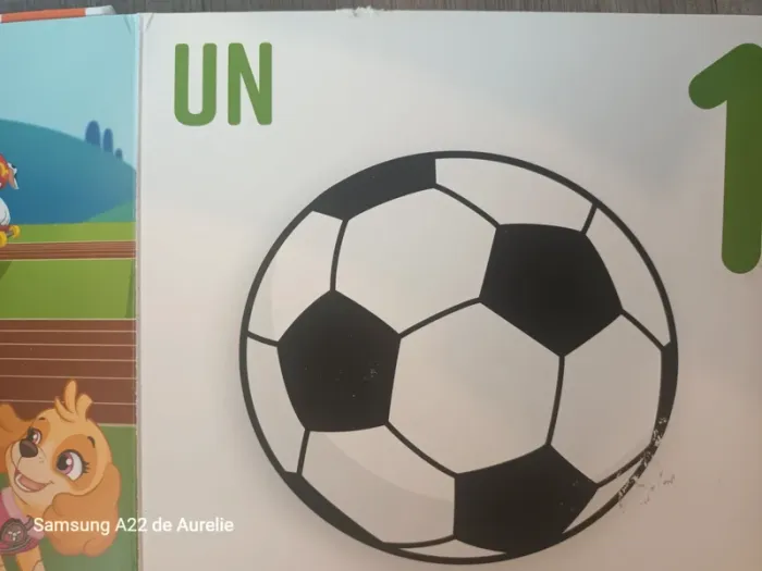 Livre Les chiffres Pat Patrouille - photo numéro 3