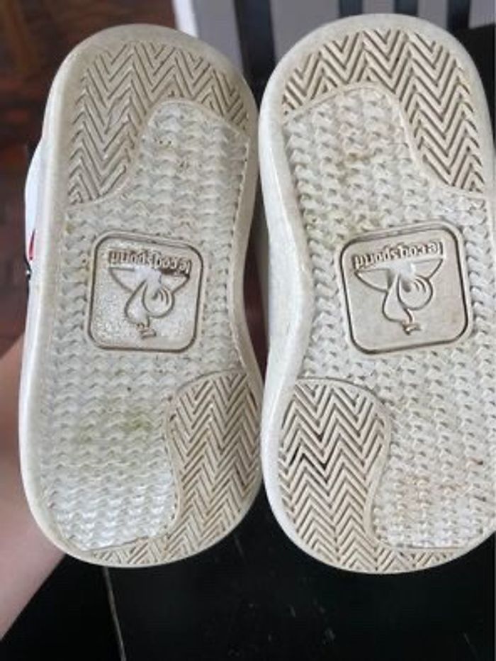 Basket - photo numéro 2