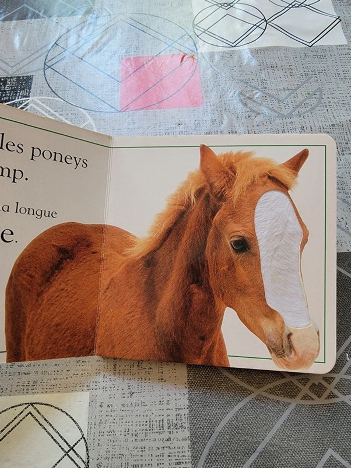 Touc à tout poneys - photo numéro 5
