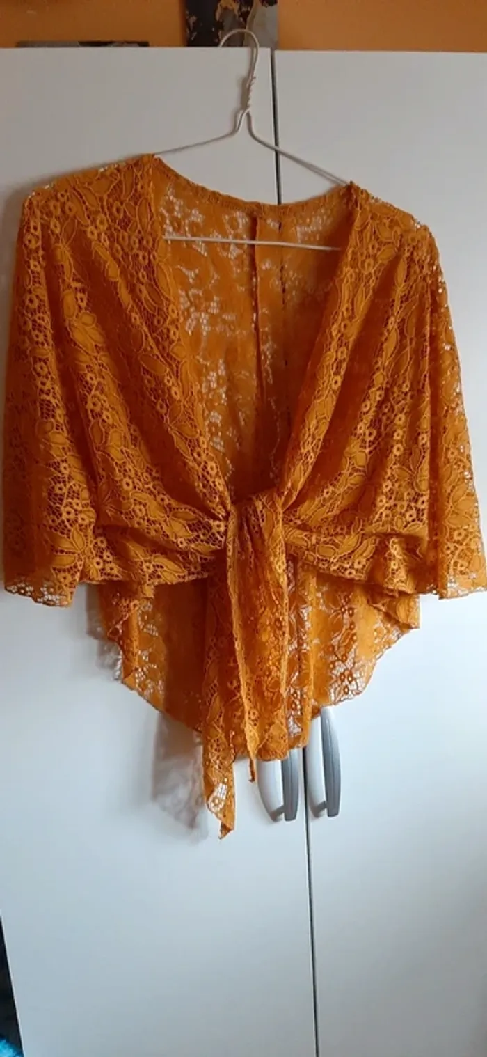 Bolero moutarde en broderie - photo numéro 5