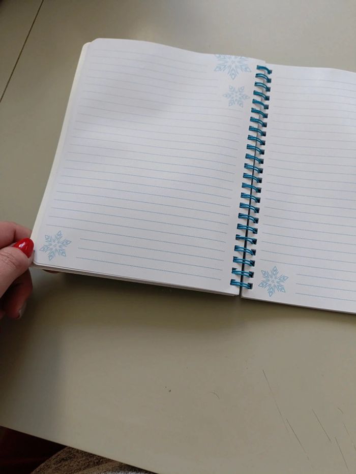 Cahier pour écrire la reine des neiges - photo numéro 3