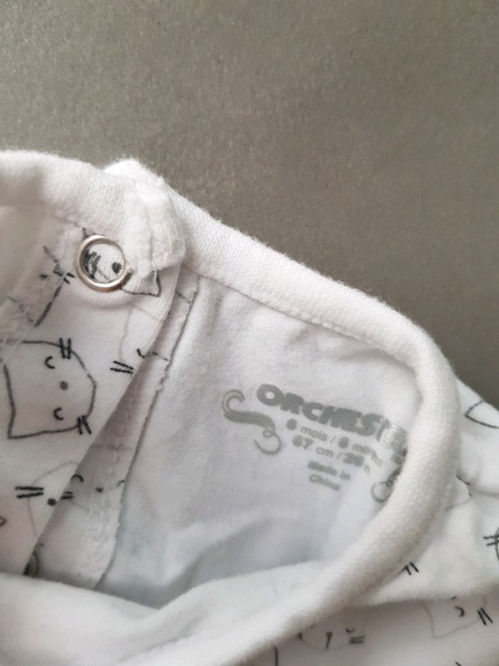 Tee shirt - photo numéro 2