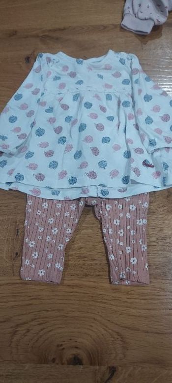 ensemble fleur de pissenlit