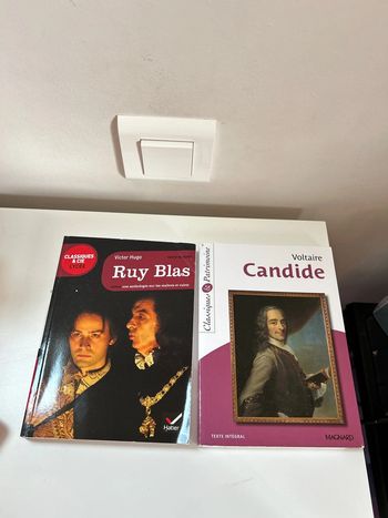 Lot livre bac français
