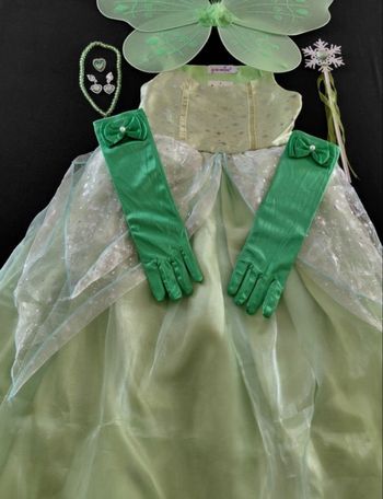 Déguisement robe princesse verte aile de papillon 6ans