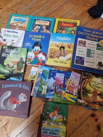 Lot de 19 livres enfants
