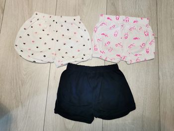 Lot 3 shorts TEX