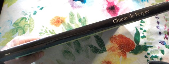 CHIENS DE BERGER Les chiens La grande encyclopédie visuelle - photo numéro 5