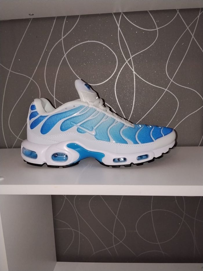 TN bleu - photo numéro 4