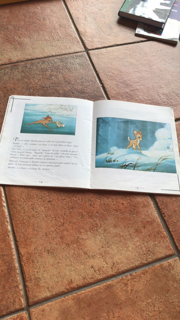 Livre bambi l histoire du film - photo numéro 4