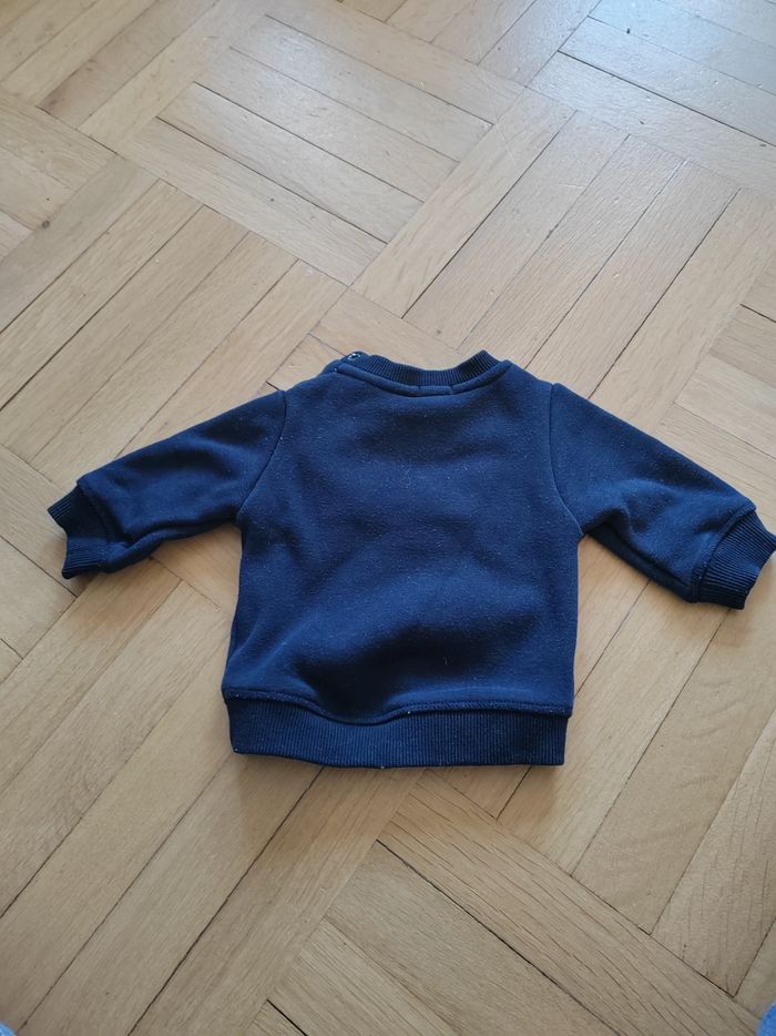 Pull chaud ours - photo numéro 3