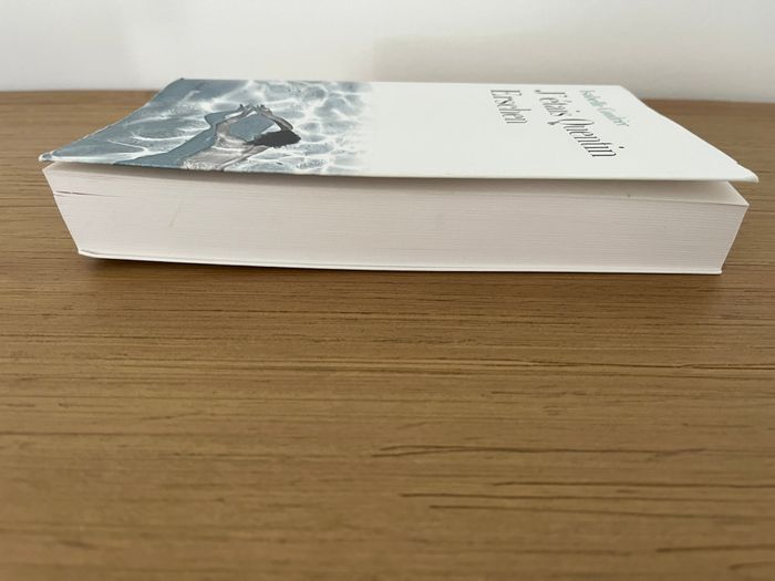 J’étais Quentin Erschen - Isabelle Coudrier - photo numéro 3