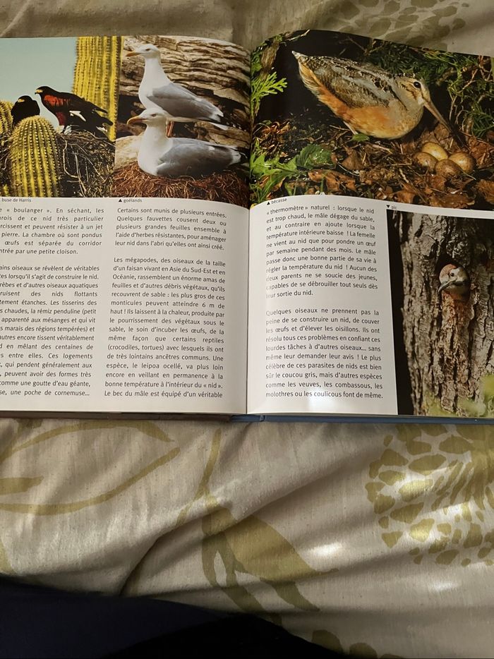 Livre. Le Règne Animal neuf - photo numéro 4