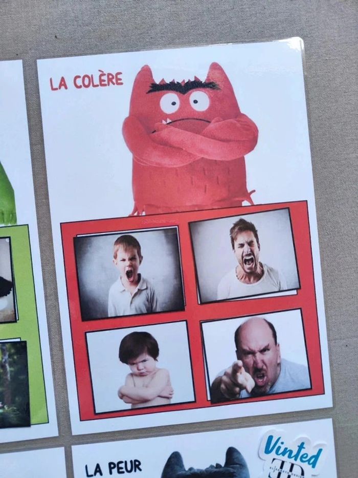 Reconnaître les émotions, la couleur des émotion Montessori - photo numéro 3