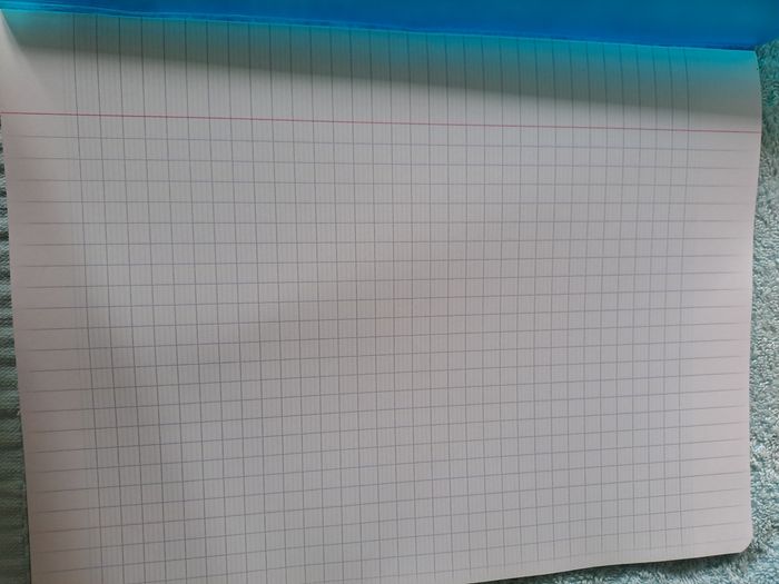 Cahier - photo numéro 2