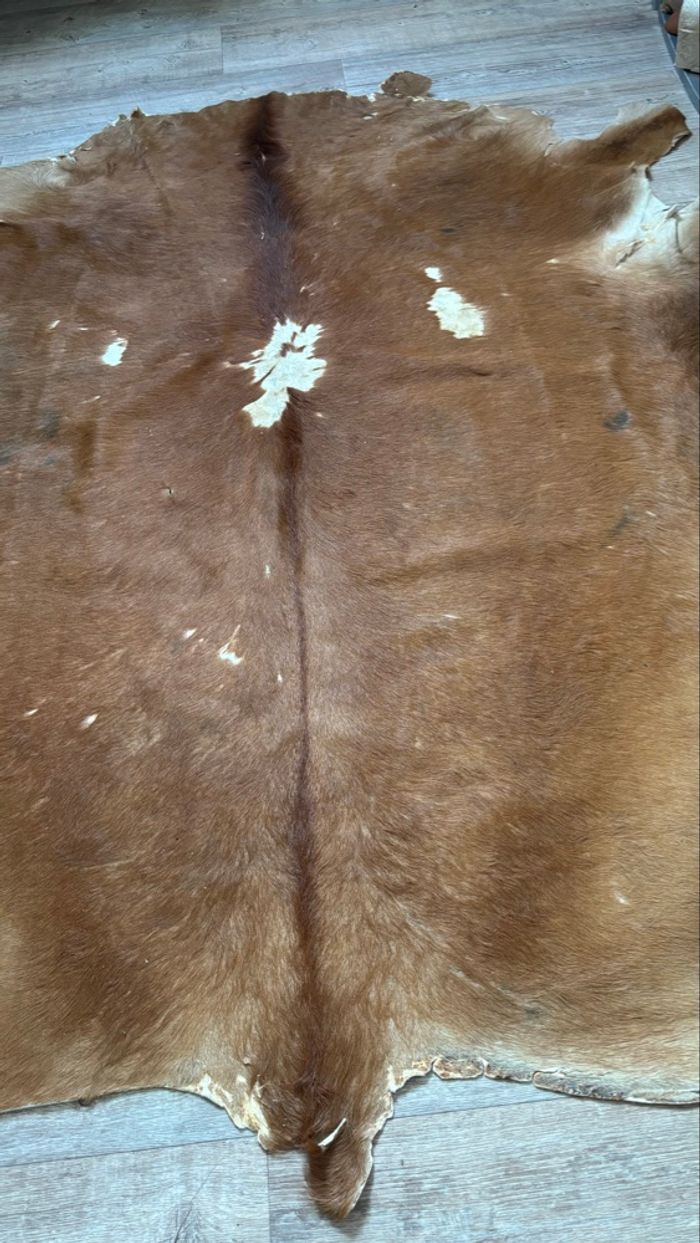 Tapis de vache - photo numéro 3