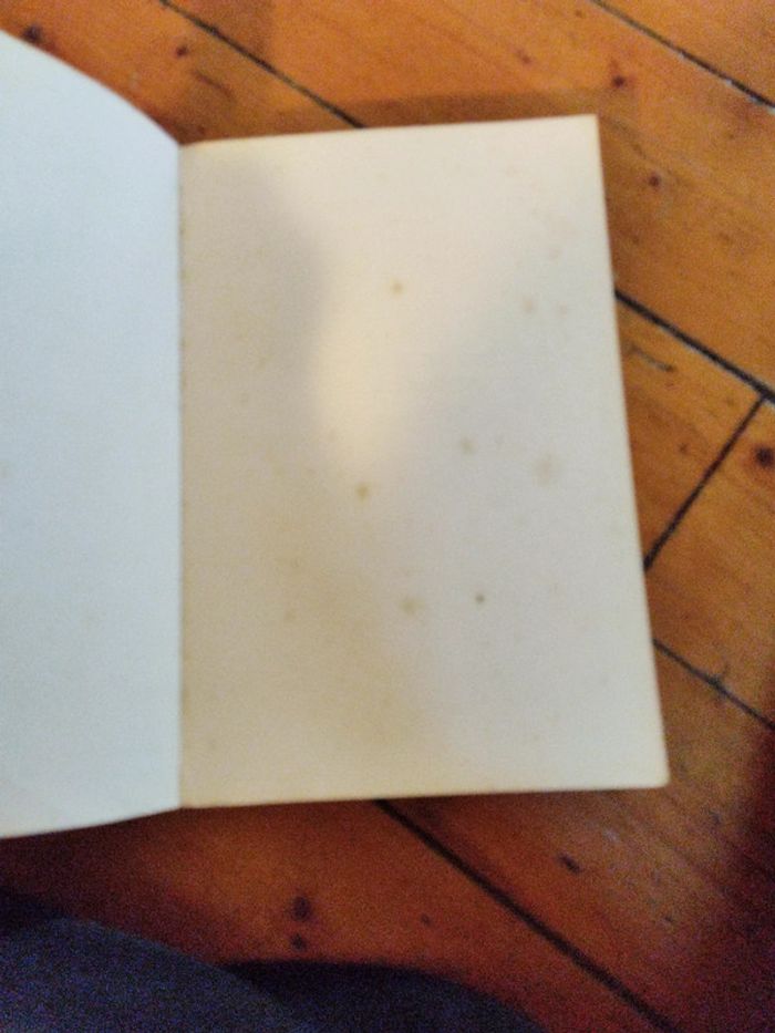 Avant qu'il ne soit trop tard - photo numéro 4