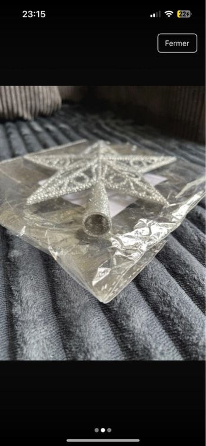 Étoile Noël - photo numéro 2