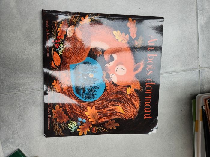 Livre enfant : Bois dormant
