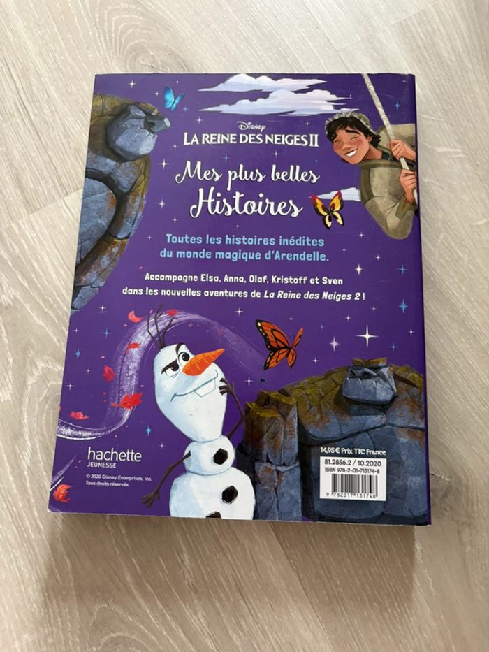 Grand livre reine des neiges 2 - photo numéro 2