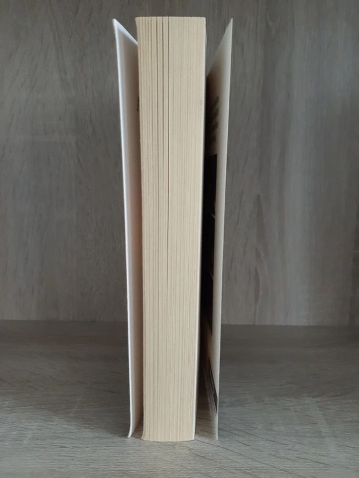 L'inconnu du Grand Canal - photo numéro 4