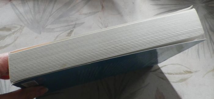 Des feux sous la cendre de Jean-François Coatmeur Ed. Albin Michel - photo numéro 4