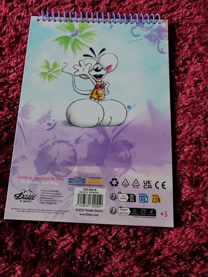 Cahier de coloriages diddl is back - photo numéro 3