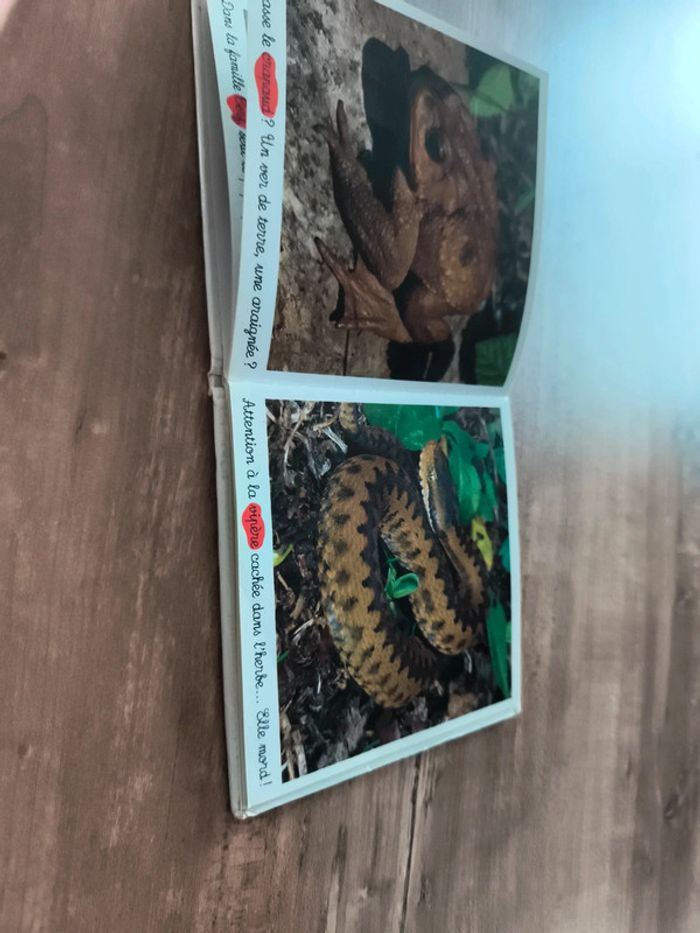 Livre photo - photo numéro 2