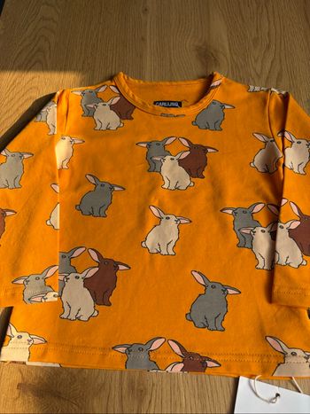 T shirt ML garçon taille 80