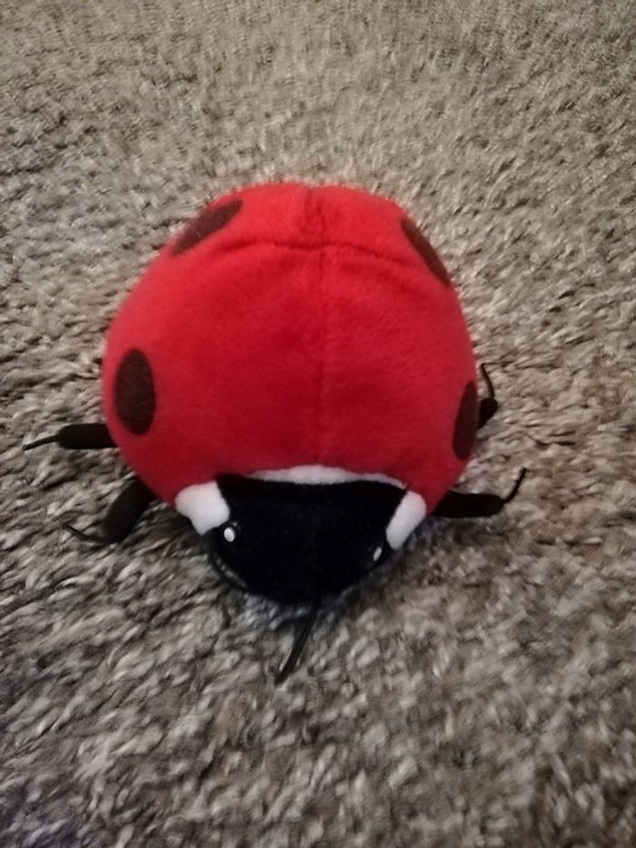 Peluche coccinelle
