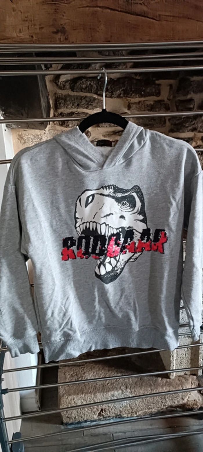 Sweat à capuche Zara 10 ans