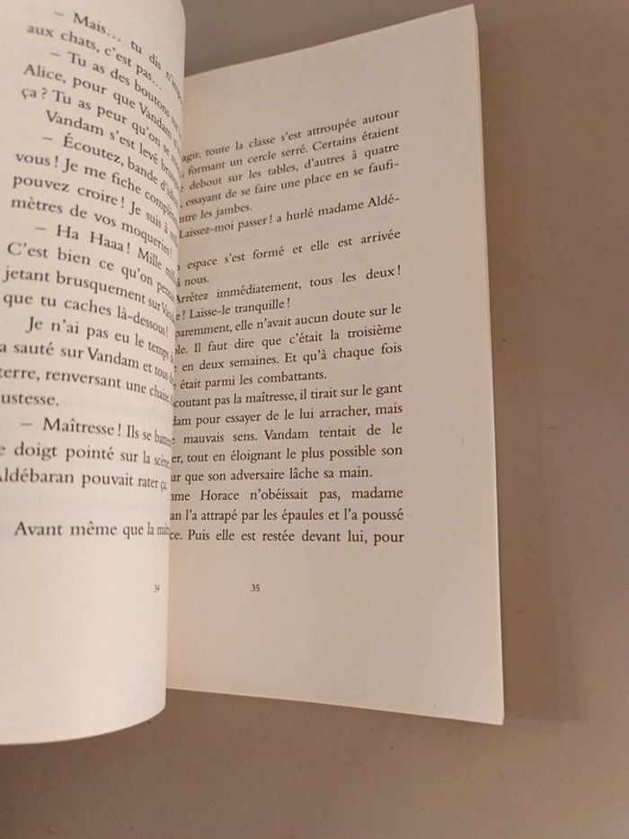 Le mystère Vandam Pishar de Anne Gaëlle balpe - photo numéro 8