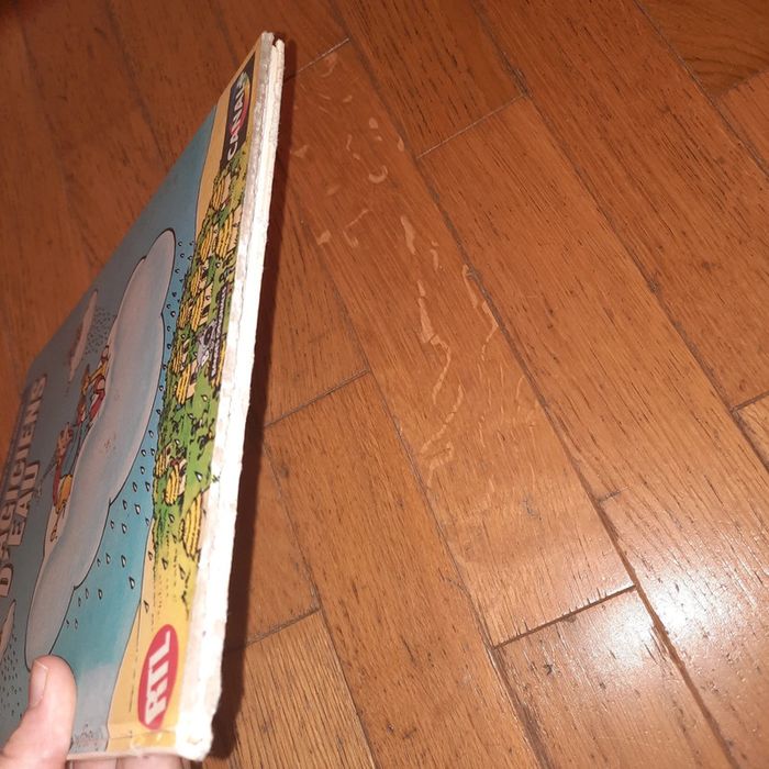 Les magiciens d'eau / Daniel Balavoine - photo numéro 5