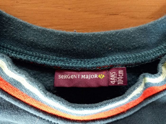 Sweat dinosaure garçon Sergent major 4 ans - photo numéro 3