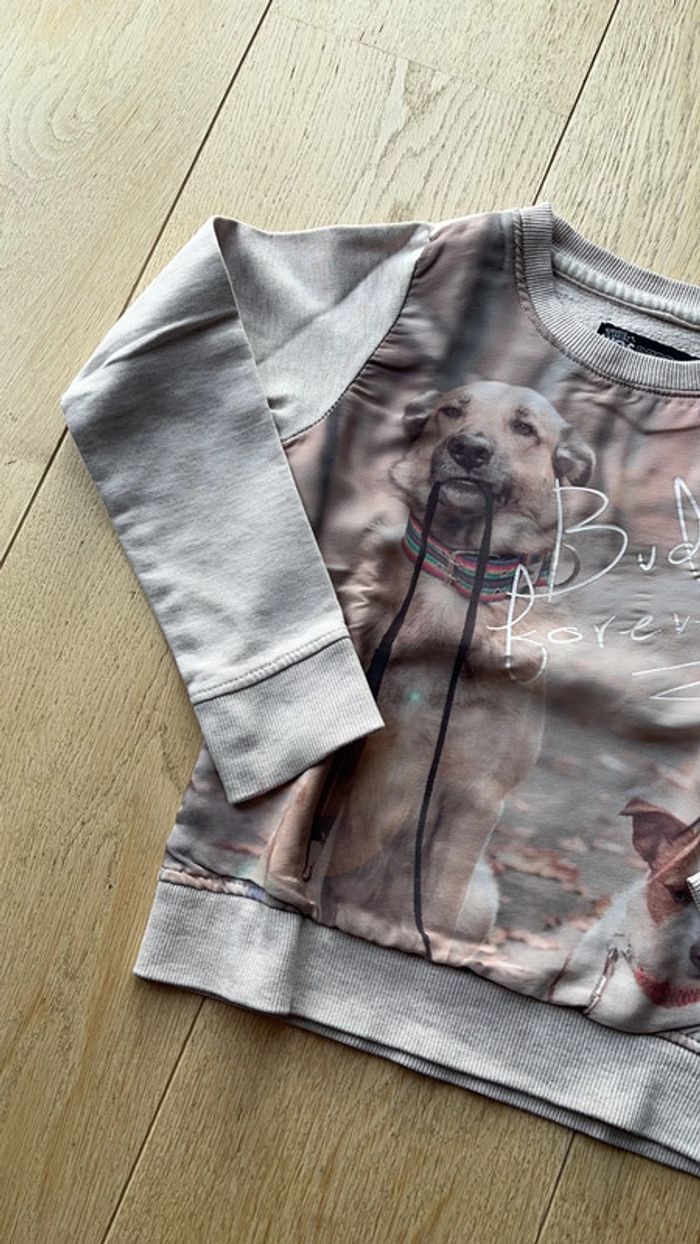 Pull fille - photo numéro 2