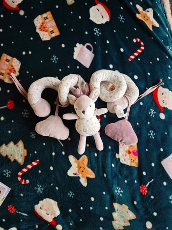 Jouets bébé naissance thème miss fleur de lune