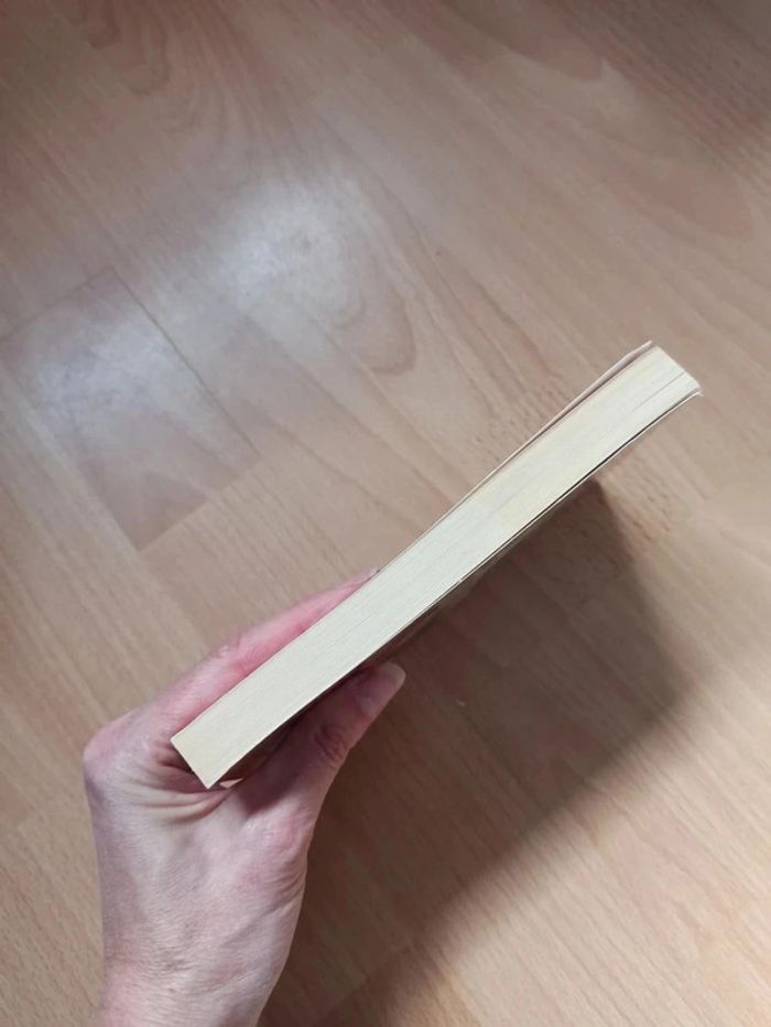 Voyage au centre de la terre - photo numéro 5