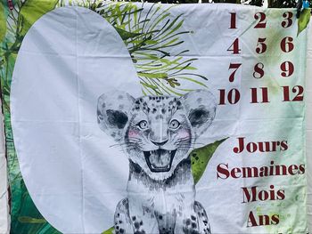 Tapis d’éveil