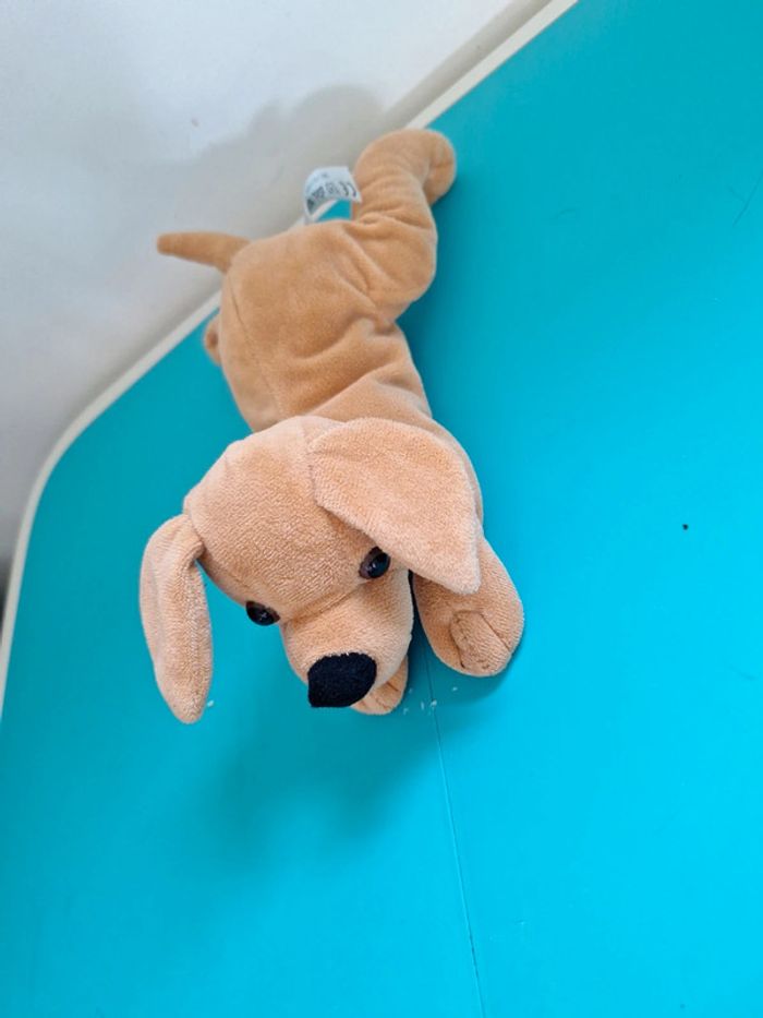 Chien neuf - photo numéro 2