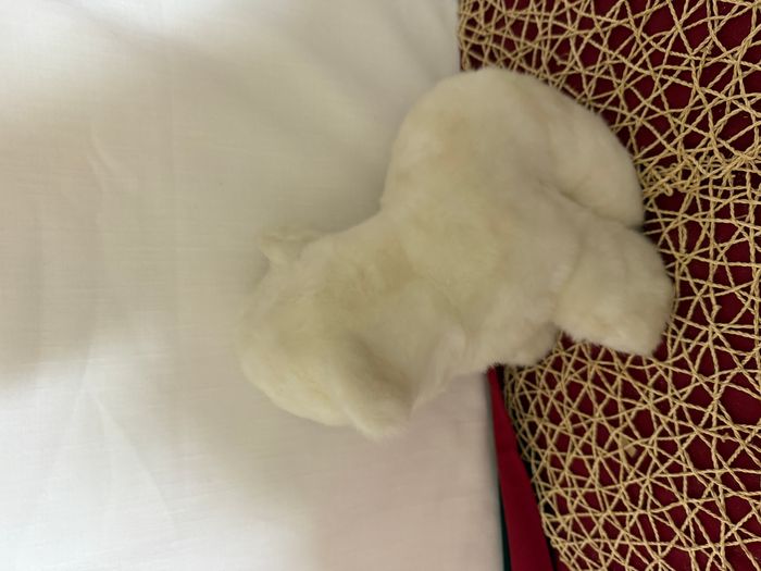 Ours polaire blanc en peluche - photo numéro 6