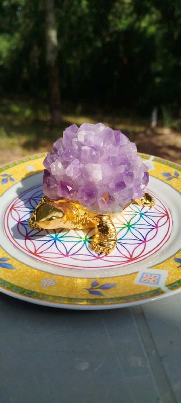 Tortue Royale en Améthyste 💫423g de Sérénité Minérale - photo numéro 9