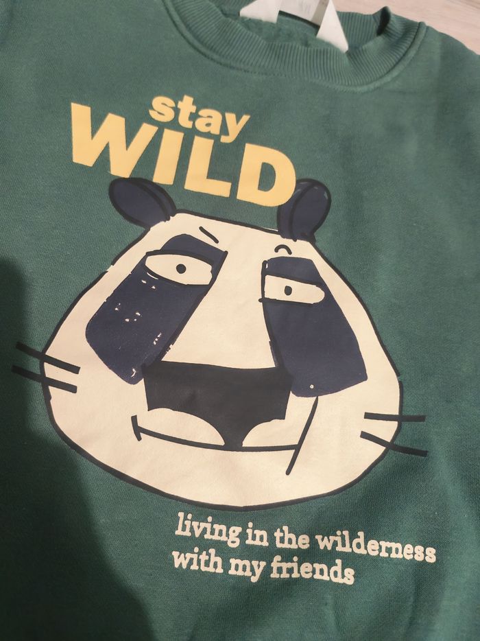 Pull Hetm garçon 2-4ans - photo numéro 2