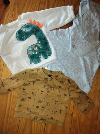 Lot 2 pulls et 1 gilet 9m