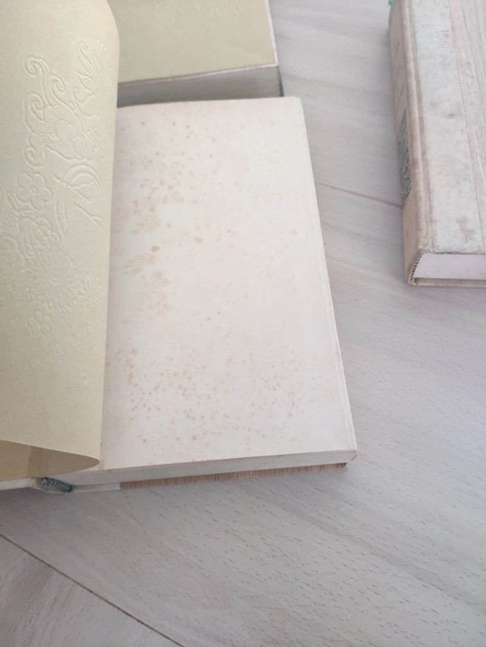 Lot 3 tomes art plaisirs et travaux du jardinage 1967 - photo numéro 5