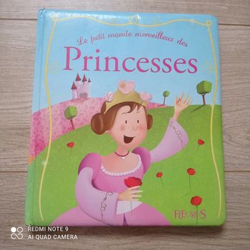 Livre Le petit monde merveilleux des princesses