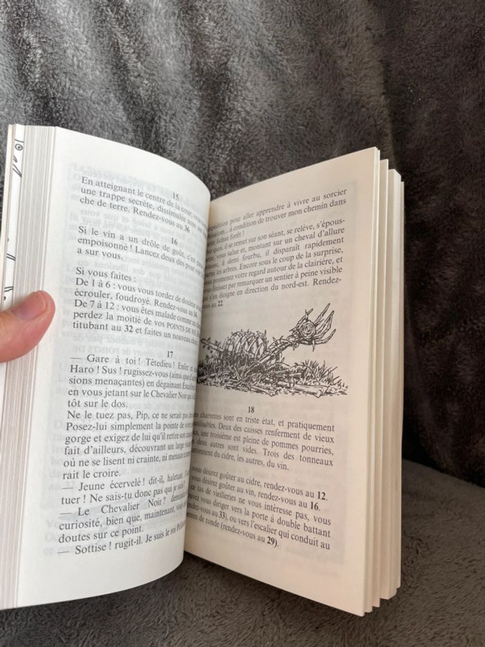 Livre dont vous êtes le héros le château des ténèbres - photo numéro 9